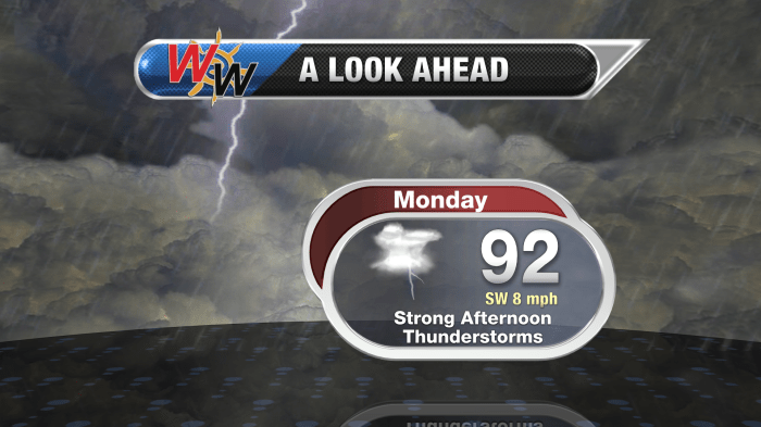 Skycast Forecast Board