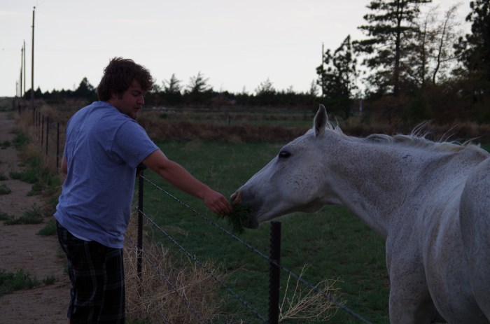 Joe Slezak can't help but feed Mystery some nice grass!