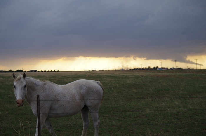 Our friend Mystery in front of a nice tail cloud.