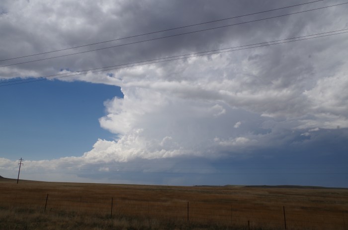 Our amazing target cell