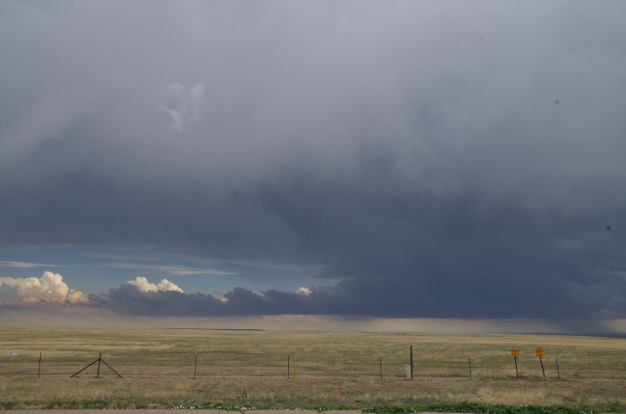 The southern cell... meh.